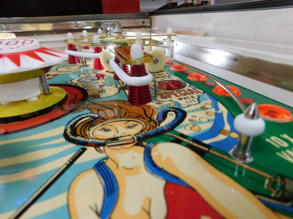 Pinball Restorations, Stern Stingray